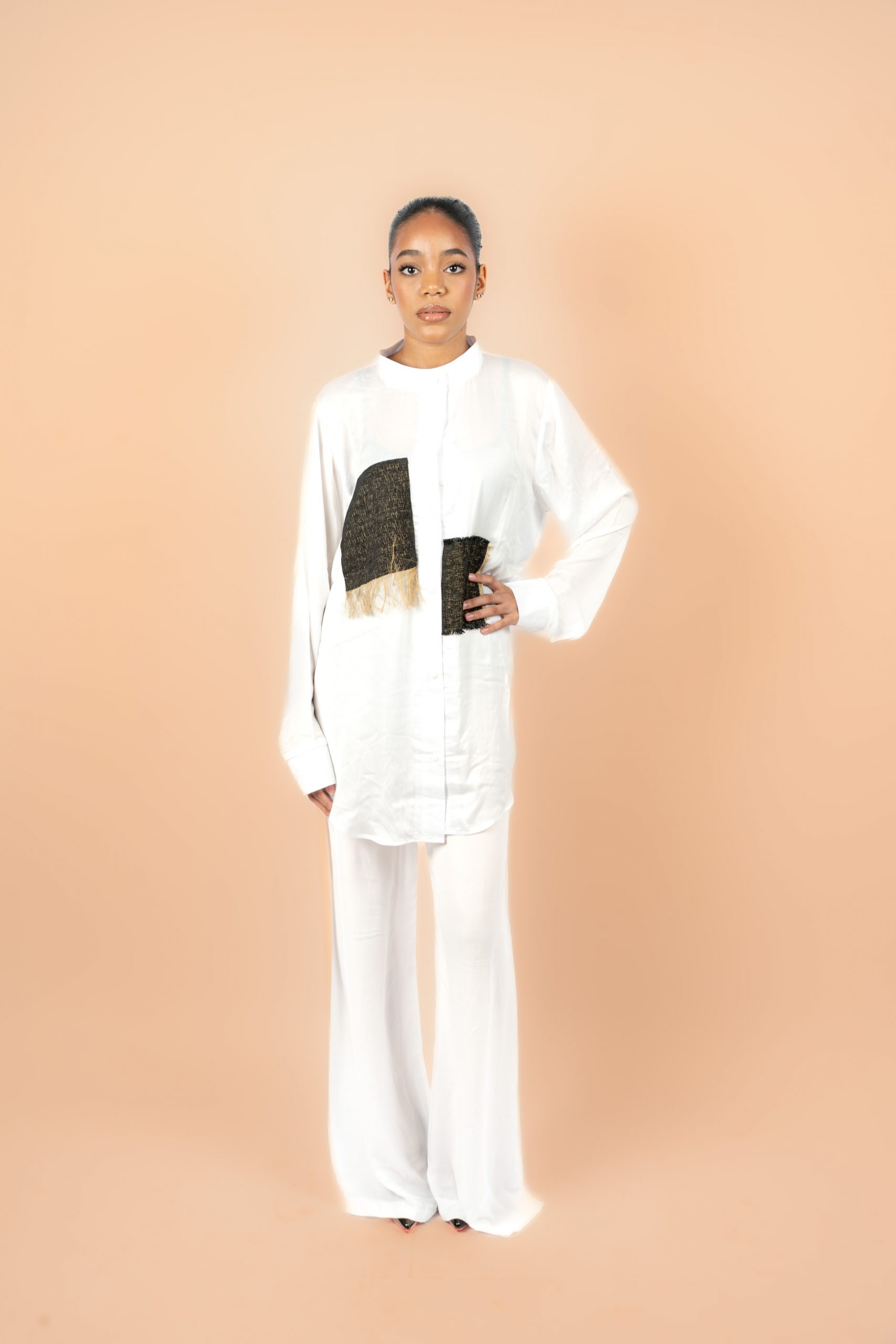 Ensemble SAHEL